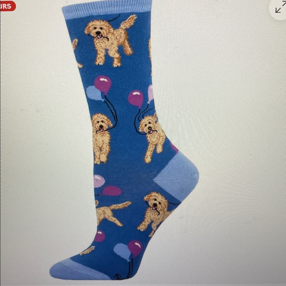 Socksmith Women's Crew Socks Doggy Doodle Party Blue Novelty Footwear
